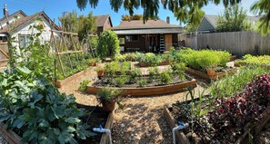 Un jardin bien entretenu, doté de plates-bandes surélevées et d’une grande variété de plantes.