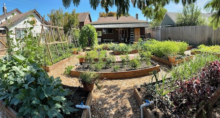 Property grounds. Boho Bungalow w/Hot Tub 4 Blocks From Downtown Silverton