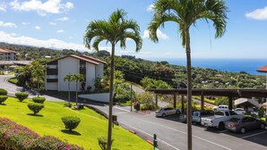 A coastal road with parked cars, palm trees, and a building with a red roof. - 🌴Beautiful condo located at higher elevations, Expansive Ocean Views🌴 (Holualoa)