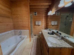 Shower, jetted bath, hair dryer, towels - Secluded Mountain Cabin on 68 Acres (Hesperus)