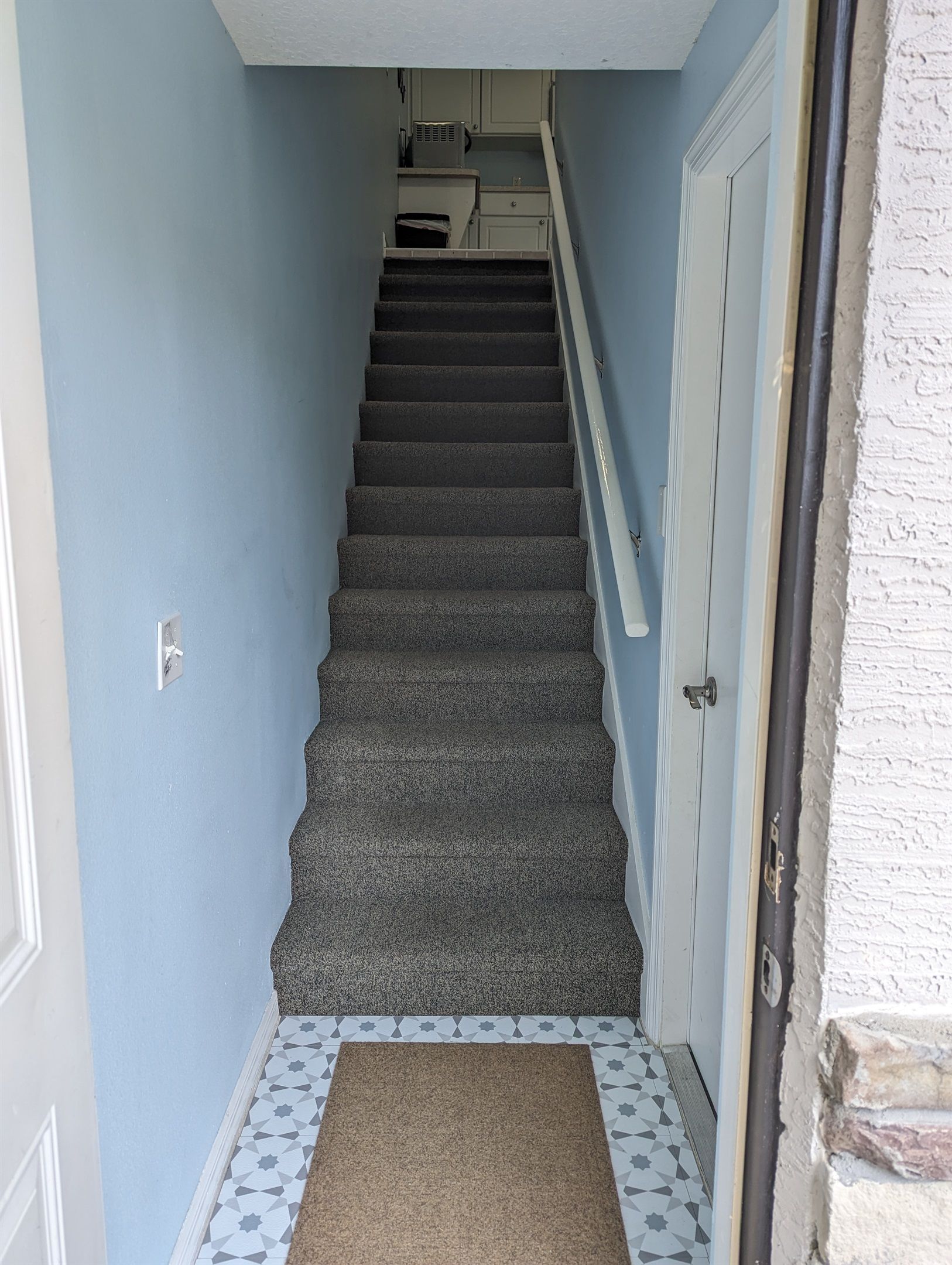 Un escalier dont les marches sont recouvertes de moquette, menant à un palier.