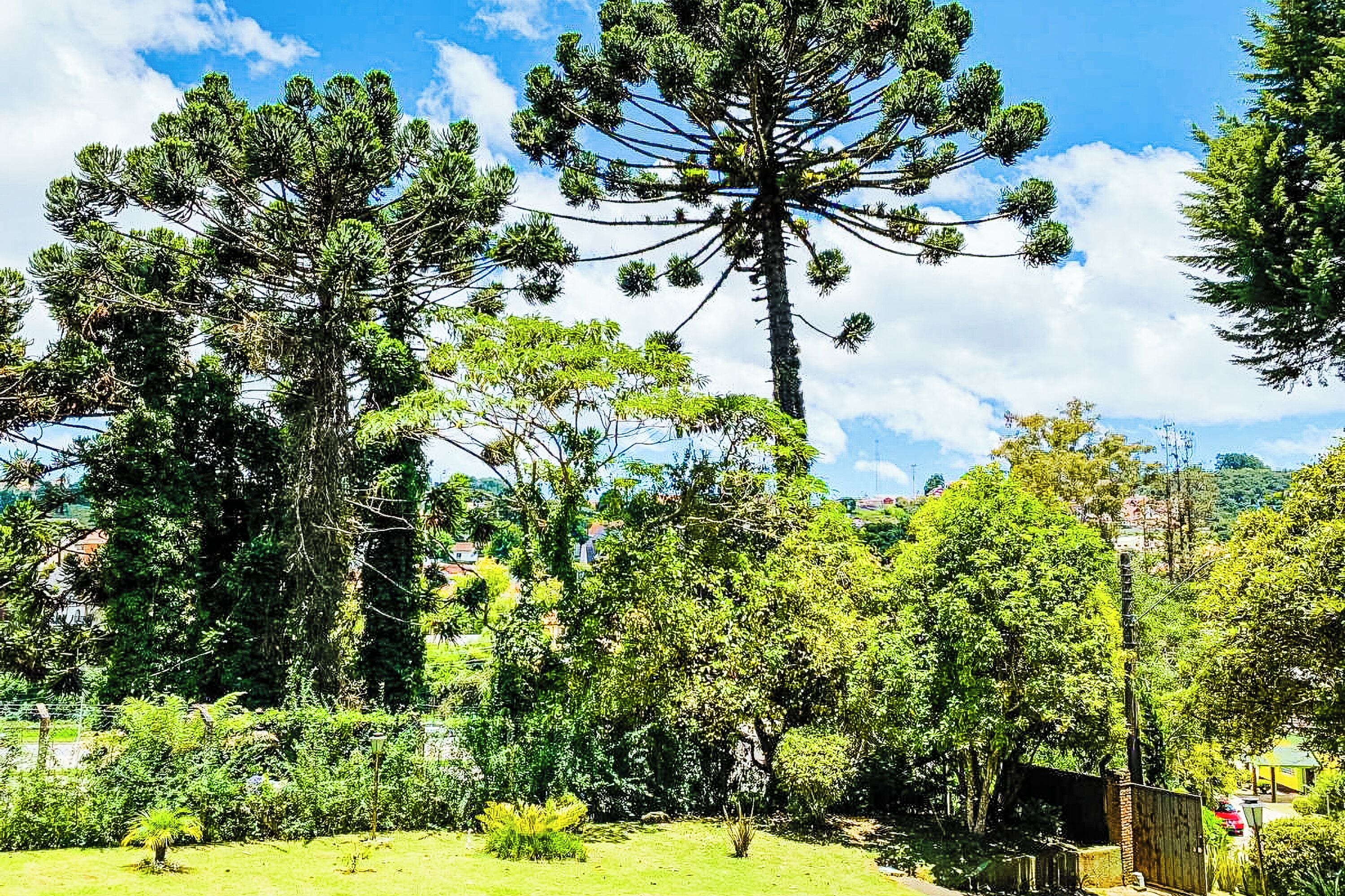 Photo - Pousada Vila Floratta by Concavus