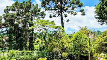 Jardim
