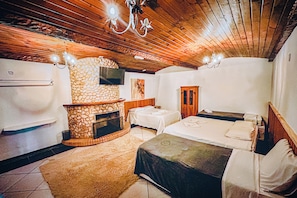 エクスクルーシブ ルーム ガーデンビュー | テレビ