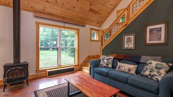 智能电视、壁炉、DVD 播放器、立体声音响