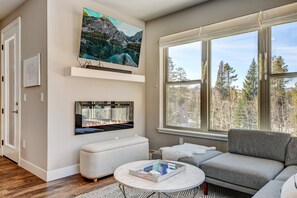 Smart TV, fireplace, video library
