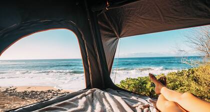 Fully Decked 4WD Jeep Gladiator Mojave!