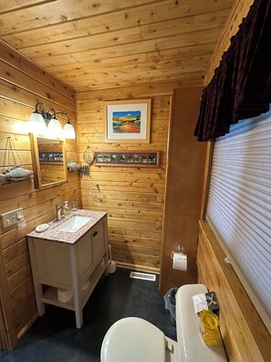 Regadera, secadora de cabello, toallas, jabón 