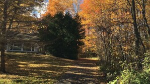 A paved pathway through a park with autumn foliage.