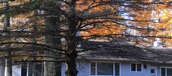 Premier Vacation Rental, Pet Friendly, Walk to Water, Restaurant, Shopping, WiFi