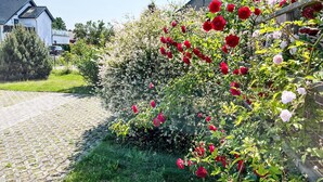 Un jardin avec des roses rouges, un chemin pavé et un bâtiment en arrière-plan.