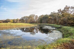 Unclassified image, 5 of 17, button