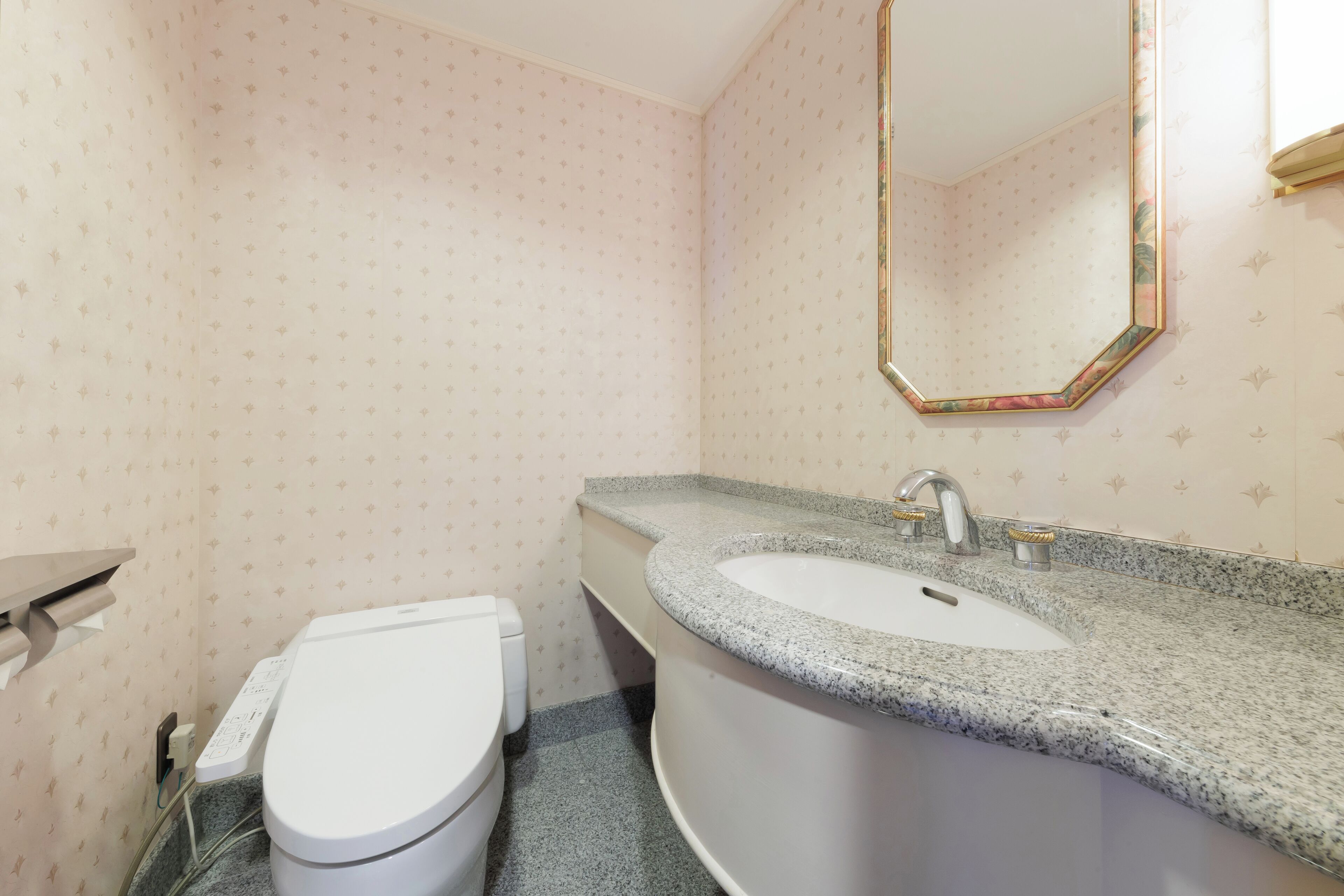 Un baño con inodoro blanco, lavamanos con encimera de granito y espejo con marco decorativo.