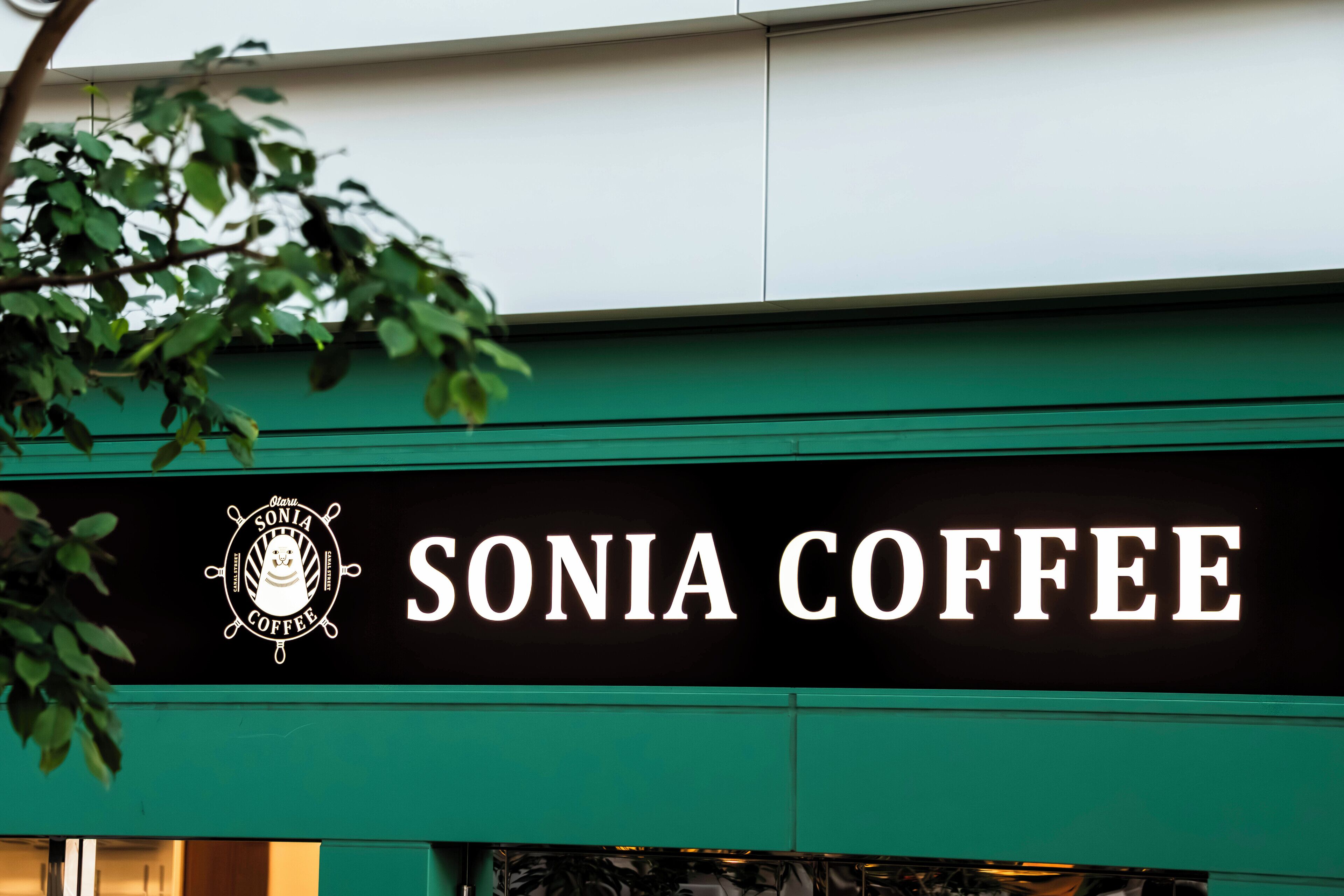 A sign for 'SONIA COFFEE' with a logo and text on a green building facade.