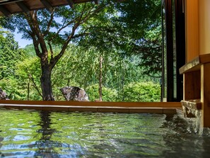 Suite, vue jardin | Salle de bain