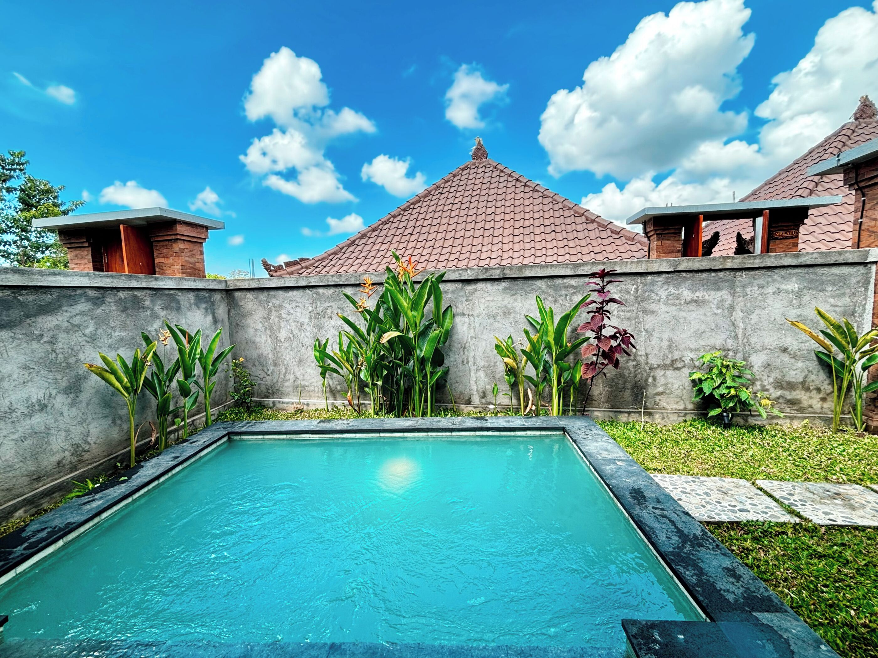 A swimming pool with a concrete wall and tropical plants.
