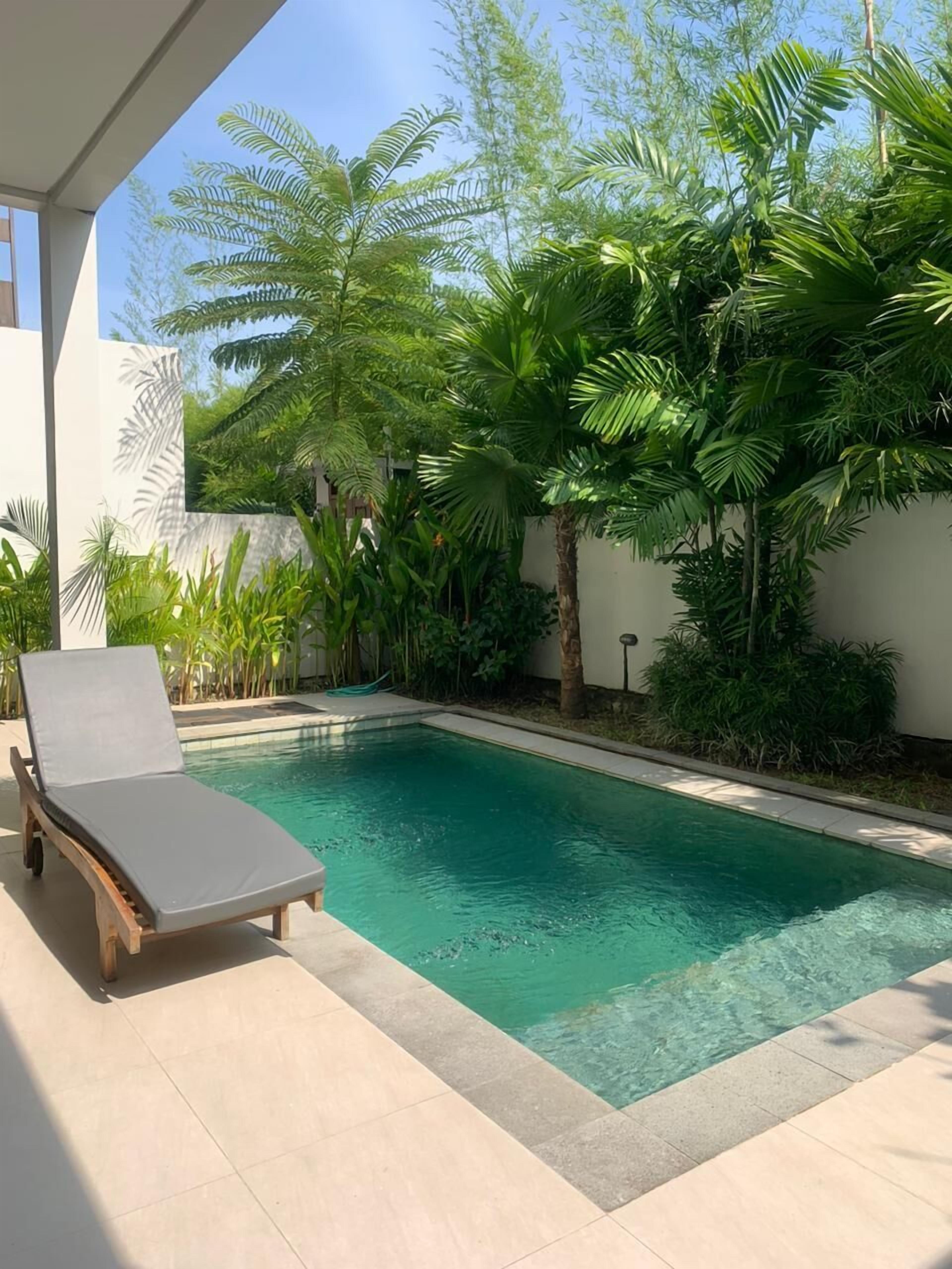 Una piscina con una tumbona, rodeada de exuberante vegetación y un muro blanco.