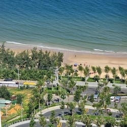 Enjoy the ocean views from our poolside lounge chairs, surrounded by palm trees and a short walk to the beach.
