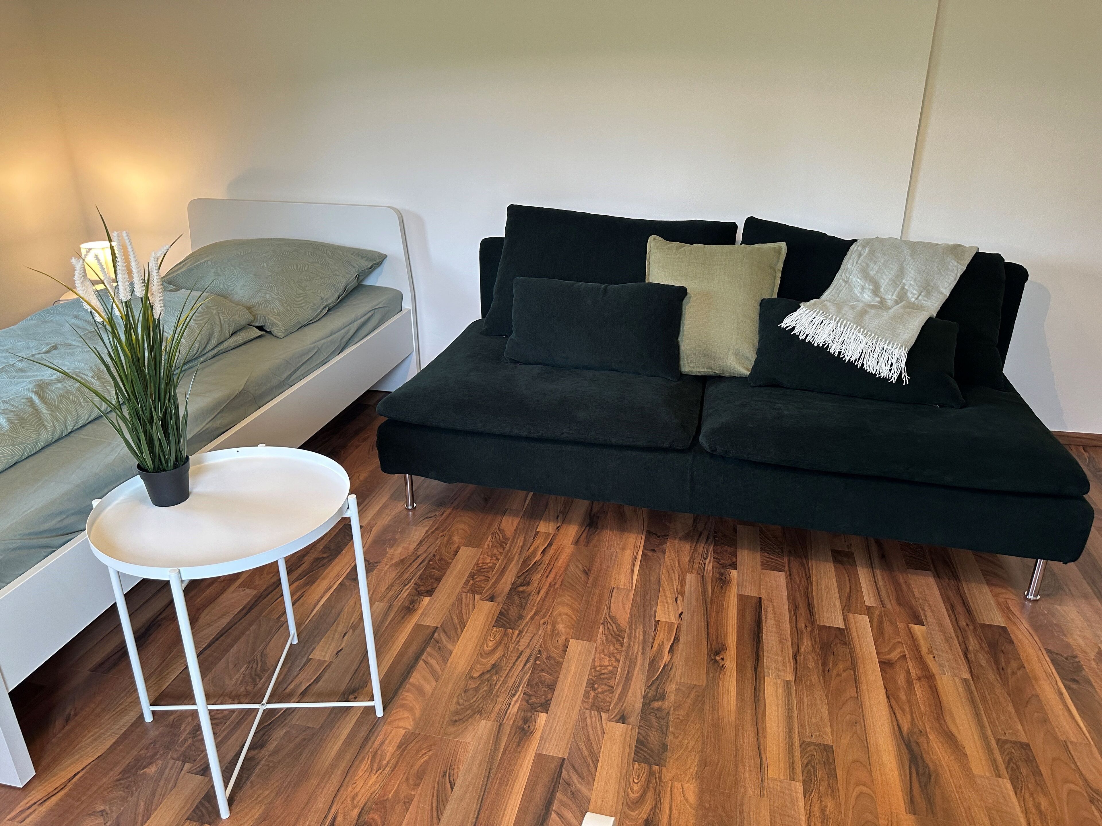 Large Modern Vacation Apartment - Hirschberg