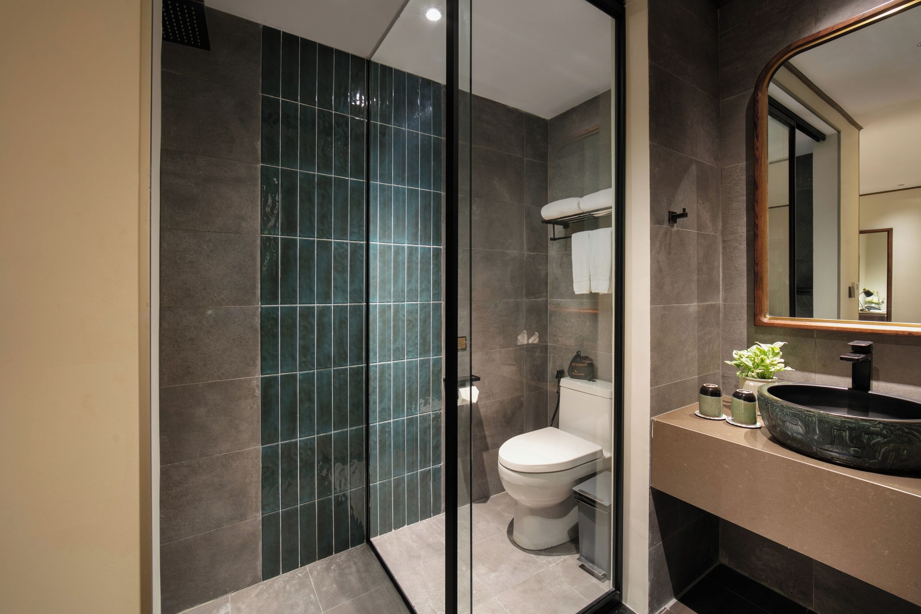 A modern bathroom with a glass shower enclosure, a toilet, and a sink with a large bowl.