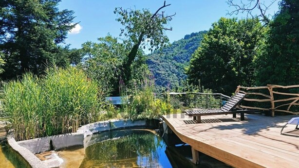 Eine Holzterrasse mit Liegestühlen mit Blick auf einen klaren Pool mit Steinrand, umgeben von üppiger Vegetation und einem bewaldeten Hang.