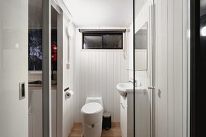 Chuveiro, secador de cabelo, toalhas de banho 