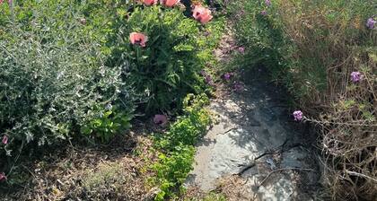 Comfortable family home with beautiful wild gardens to enjoy.