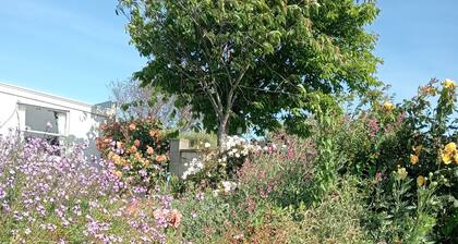 Comfortable family home with beautiful wild gardens to enjoy.