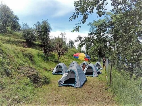 Janardan Campsite Kausani