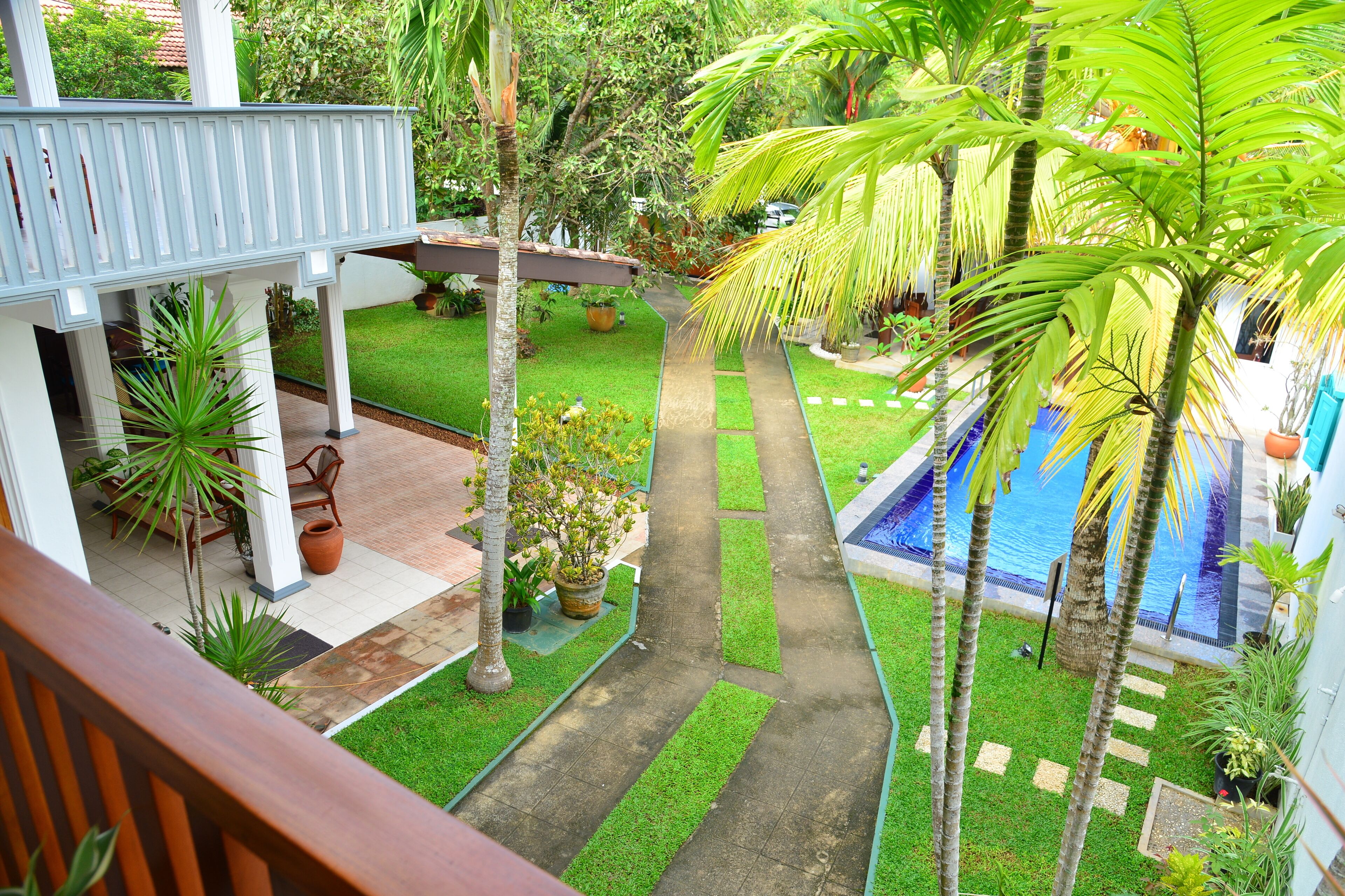 A pool area with a clear pathway, surrounded by palm trees and potted plants.