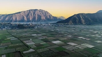 Vista desde la propiedad