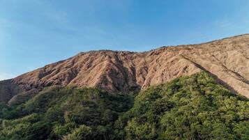 A mountain landscape with dense forest at the base.