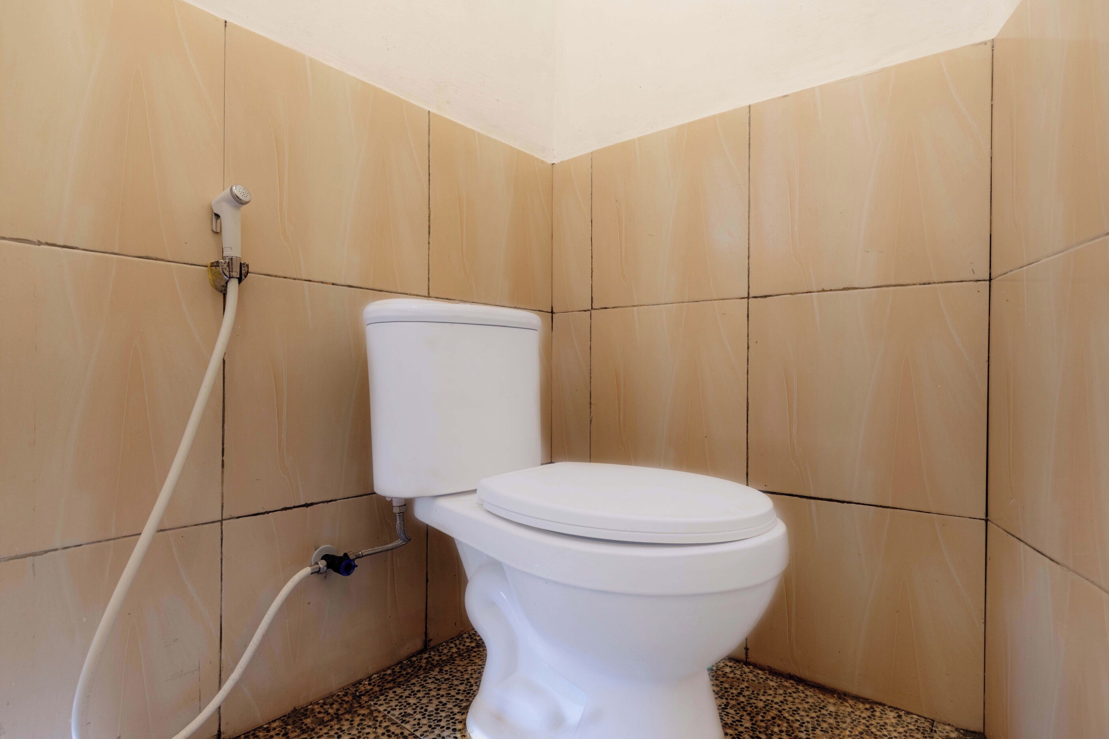 A bathroom with a toilet, a shower, and tiled walls.