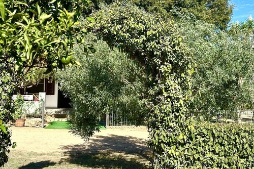 Casa Flores nur wenige Minuten vom Strand entfernt