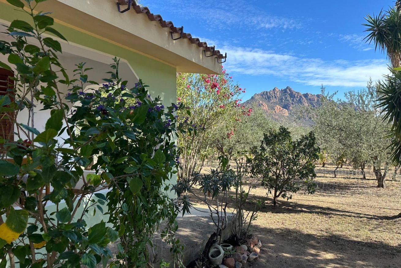 A building with a tiled roof and a garden with various plants and a view of mountains in the background.