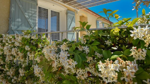 Un edificio con un porche cubierto, contraventanas blancas y un jardín con flores blancas.