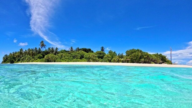 A clear view of turquoise waters leading to a sandy beach with dense green foliage and palm trees.