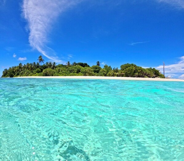 On the beach, white sand