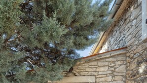 Un bâtiment en pierre avec une porte en bois et un volet jaune.