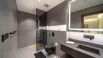 Shower, free toiletries, hair dryer, bidet