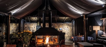 BZIKA Wonderland Retreat