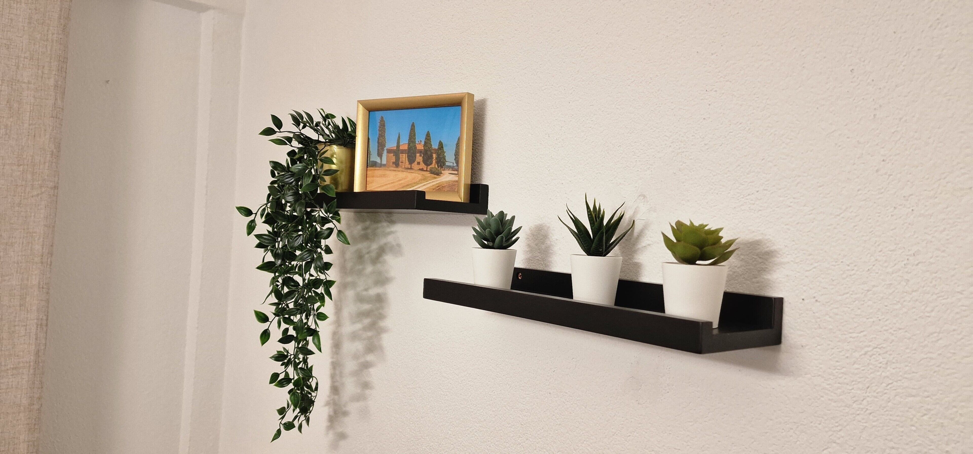 Een wandplank met een lijstfoto en drie planten in potten.