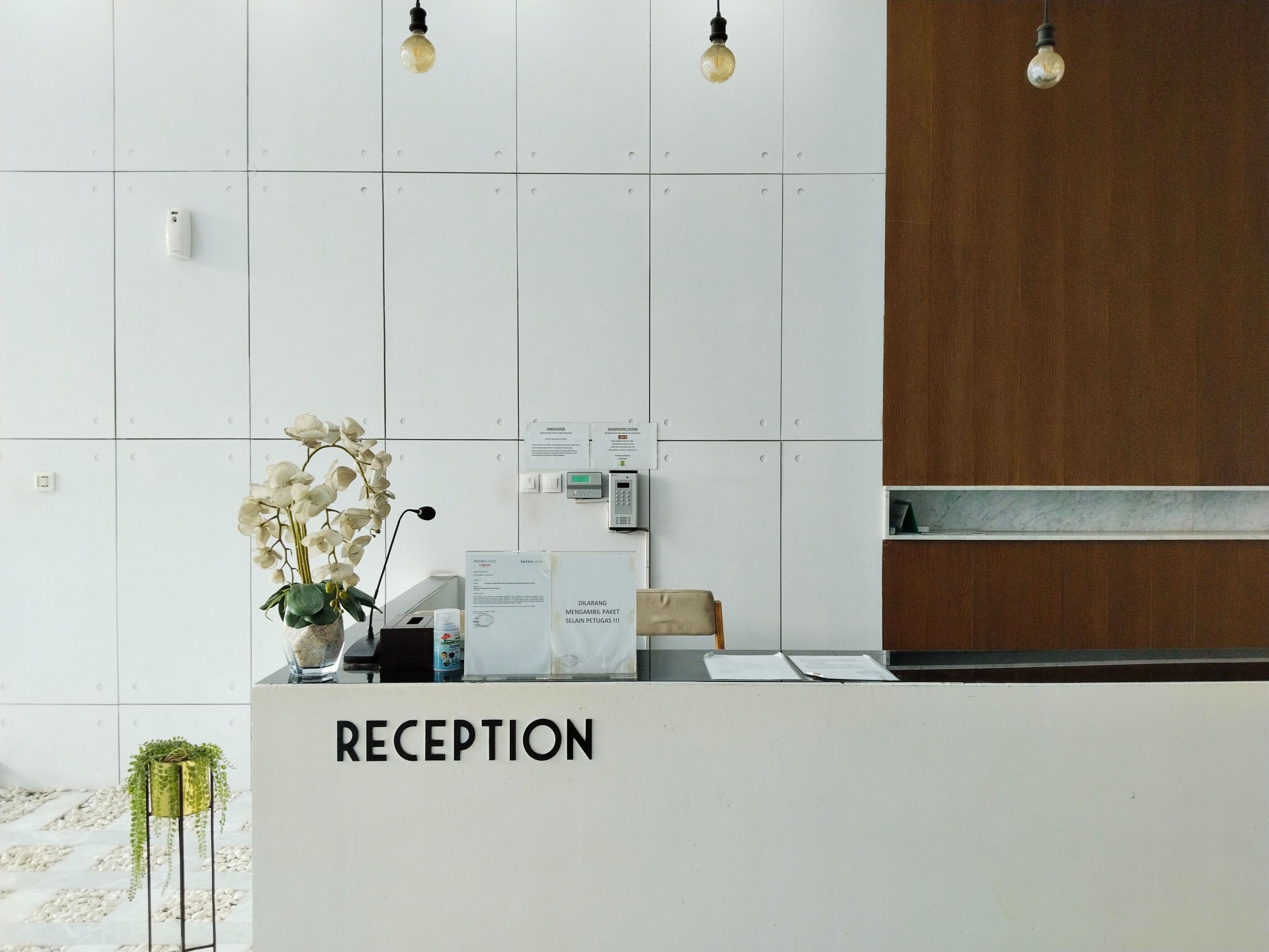 A reception desk with a sign reading "RECEPTION", a telephone, a small plant, and a wall-mounted light fixture.