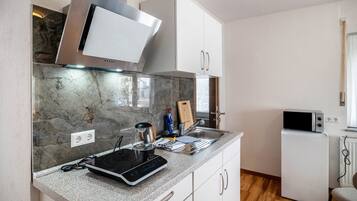 KĂŒhlschrank, Mikrowelle, Herdplatte, Wasserkocher mit Kaffee-/Teezubehör