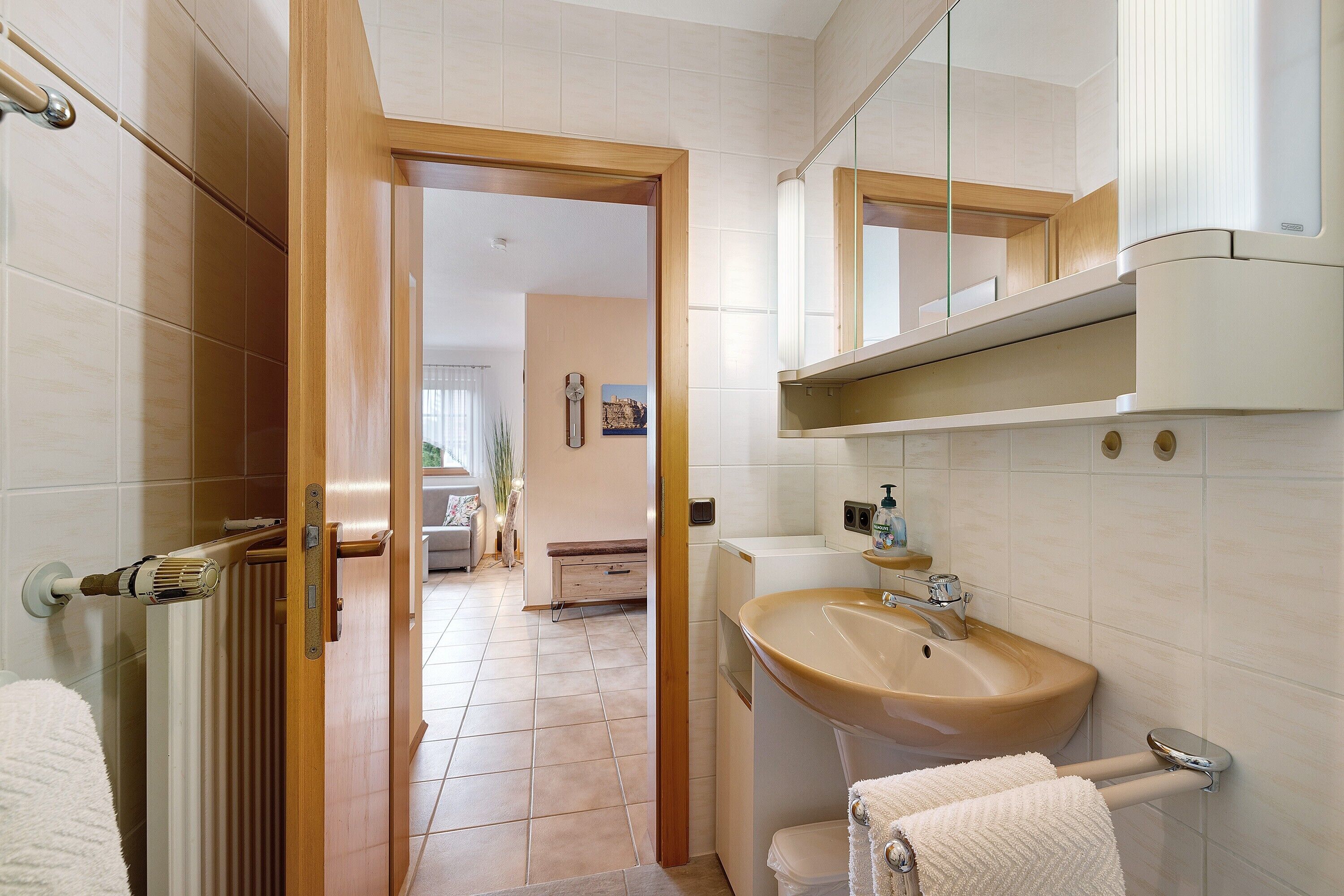 シャワー、バスアメニティ (無料)、ヘアドライヤー、タオル