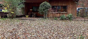 Bungalow 'Urlaubsoase Am Bruchsee' with Lake View, Private Terrace and Private Garden