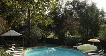 Lovely apartment with private pool, WIFI, A/C, TV, veranda and pets allowed, close to Montepulci...