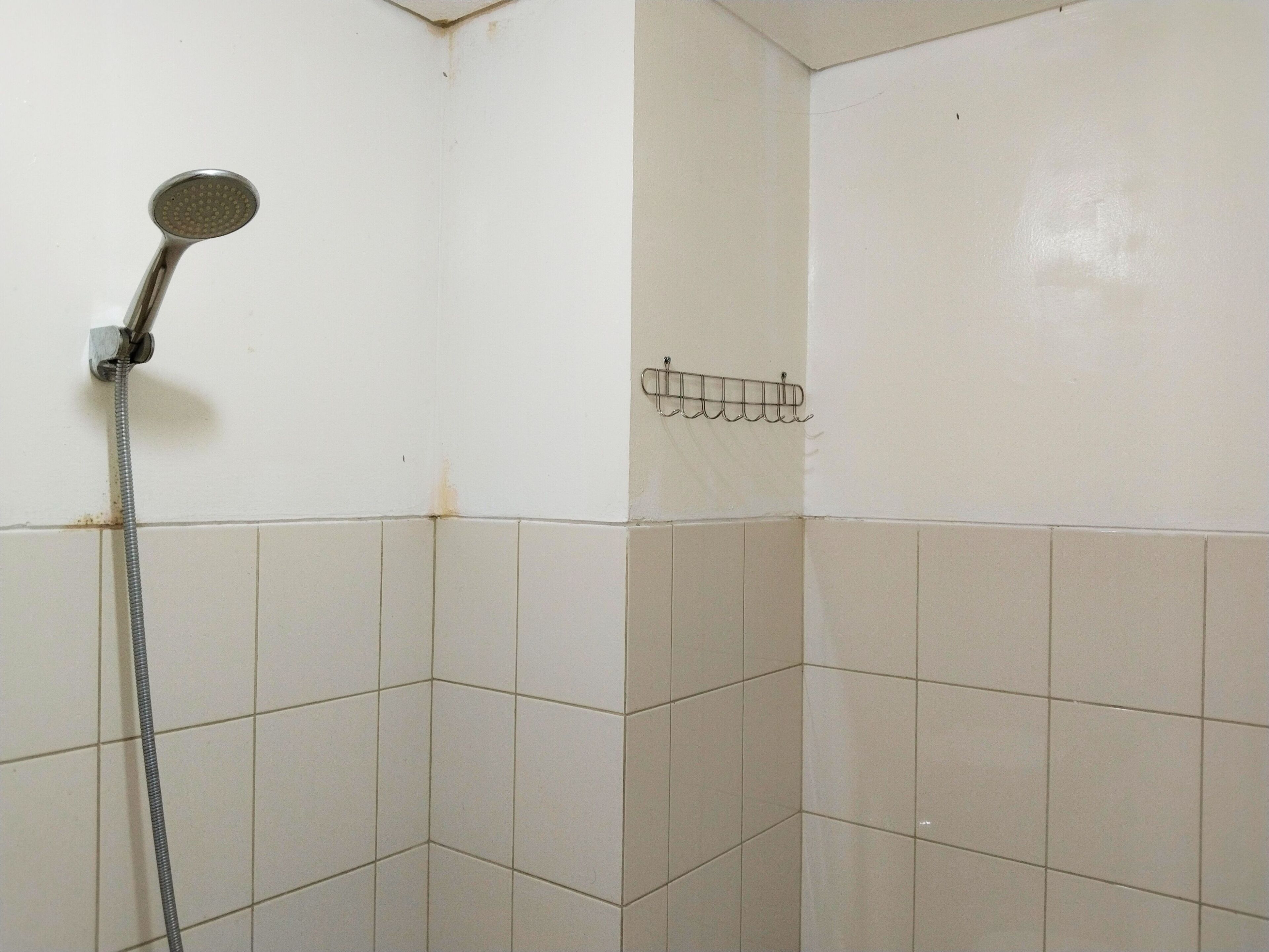 A corner of a bathroom with white tiled walls, a shower head, and a metal rack on the wall.