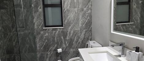 Une salle de bain moderne dotée d’une douche à parois de verre, de toilettes et d’un meuble-lavabo avec deux vasques et un grand miroir.