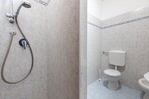 Shower, hair dryer, bidet, towels